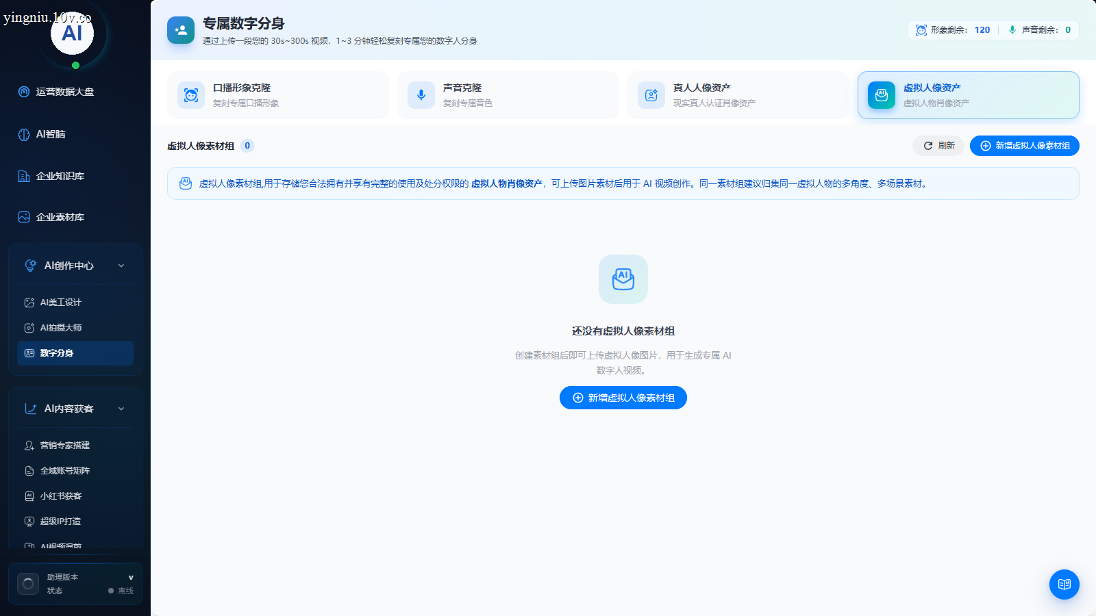填写虚拟人像信息